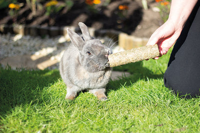 Rosewood Naturals Pea 'n' Mint Rollers | Barks & Bunnies
