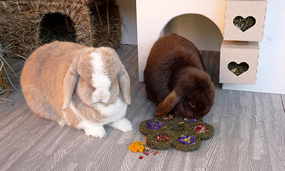 Rosewood Flower & Forage Blossom For Rabbits | Barks & Bunnies