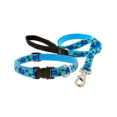 Lupine Originals Dog Collars, Turtle Reef | Barks & Bunnies