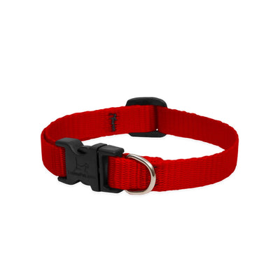 Lupine Basics Dog Collars Red, Solid Plain Colours | Barks & Bunnies