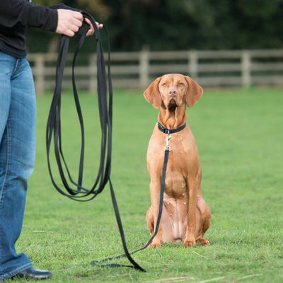 Clix Long Line Recall Training 10m, Dog Long Line | Barks & Bunnies