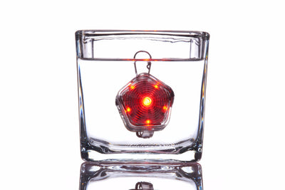 Ruffwear The Beacon Dog Safety Light USB Rechargable | Barks & Bunnies