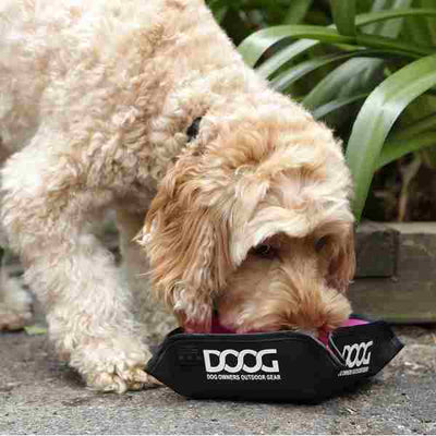 DOOG Portable Foldable Water Bowl for Dogs | Barks & Bunnies