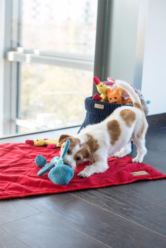 Bowl & Bone Republic Cotton Basket Navy, Dog Toy Storage | Barks & B..