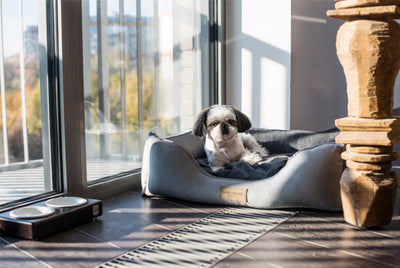 Bowl & Bone Republic Classic Bed Pink, Dog Bed | Barks & Bunnies