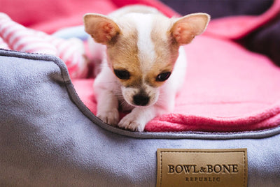 Bowl & Bone Republic Classic Bed Pink, Dog Bed | Barks & Bunnies