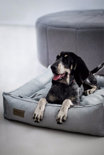 Bowl & Bone Republic Urban Bed Brown, Dog Bed | Barks & Bunnies