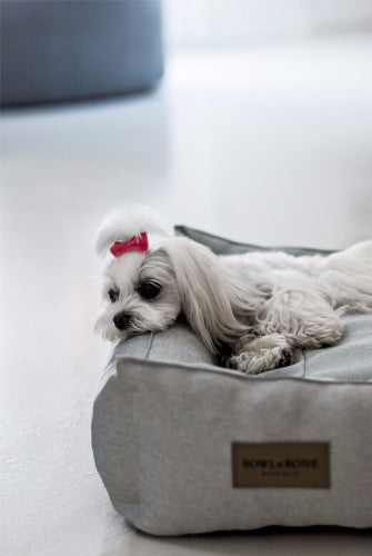Bowl & Bone Republic Urban Bed Grey, Dog Bed | Barks & Bunnies