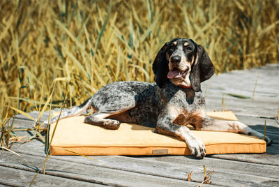 Bowl & Bone Republic Chill Mat Chocolate, Dog Bed | Barks & Bunnies