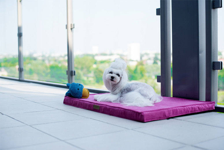 Bowl & Bone Republic Chill Mat Rose, Dog Bed | Barks & Bunnies