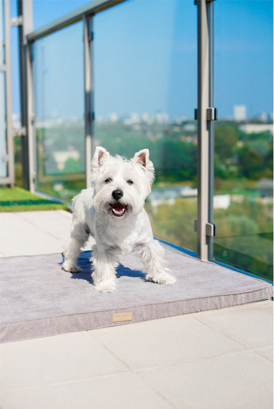 Bowl & Bone Republic Chill Mat Silver, Dog Bed | Barks & Bunnies