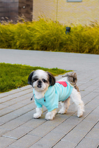 Bowl & Bone Republic Cloud Hoodie Dog Coat | Barks & Bunnies