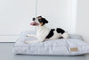 Bowl & Bone Republic Loft Cushion Coral, Dog Bed | Barks & Bunnies