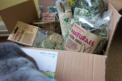 The Best Pet Rabbit Subscription Box for Multiple Rabbits | Barks & Bunnies