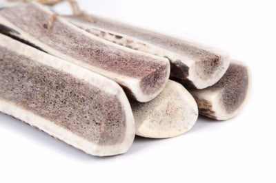 Green & Wilds Easy Antler Dog Chews, Naturally Shed | Barks & Bunnies