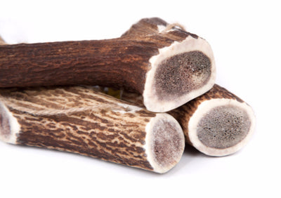 Deer Antler Dog Original Chew for dogs | Barks & Bunnies