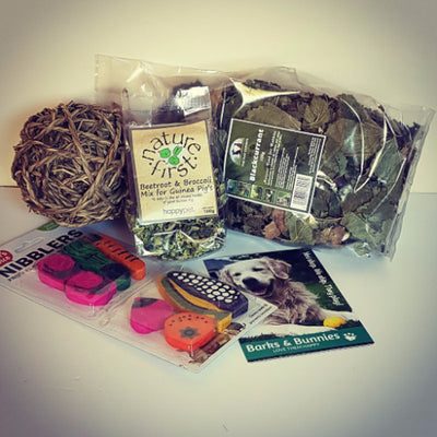 Guinea Pig Monthly Subscription Box | Barks & Bunnies
