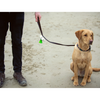 Beco Pocket Dispenser Eco-Friendly Dog Poop Bag | Barks & Bunnies