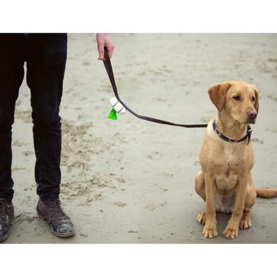 Beco Pocket Dispenser Eco-Friendly Dog Poop Bag | Barks & Bunnies