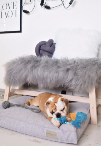 Bowl & Bone Republic Loft Cushion Graphite, Dog Bed | Barks & Bunnies