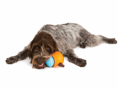 Zogoflex Toppl, Interactive & Indestructible Dog Toy | Barks & Bunnies