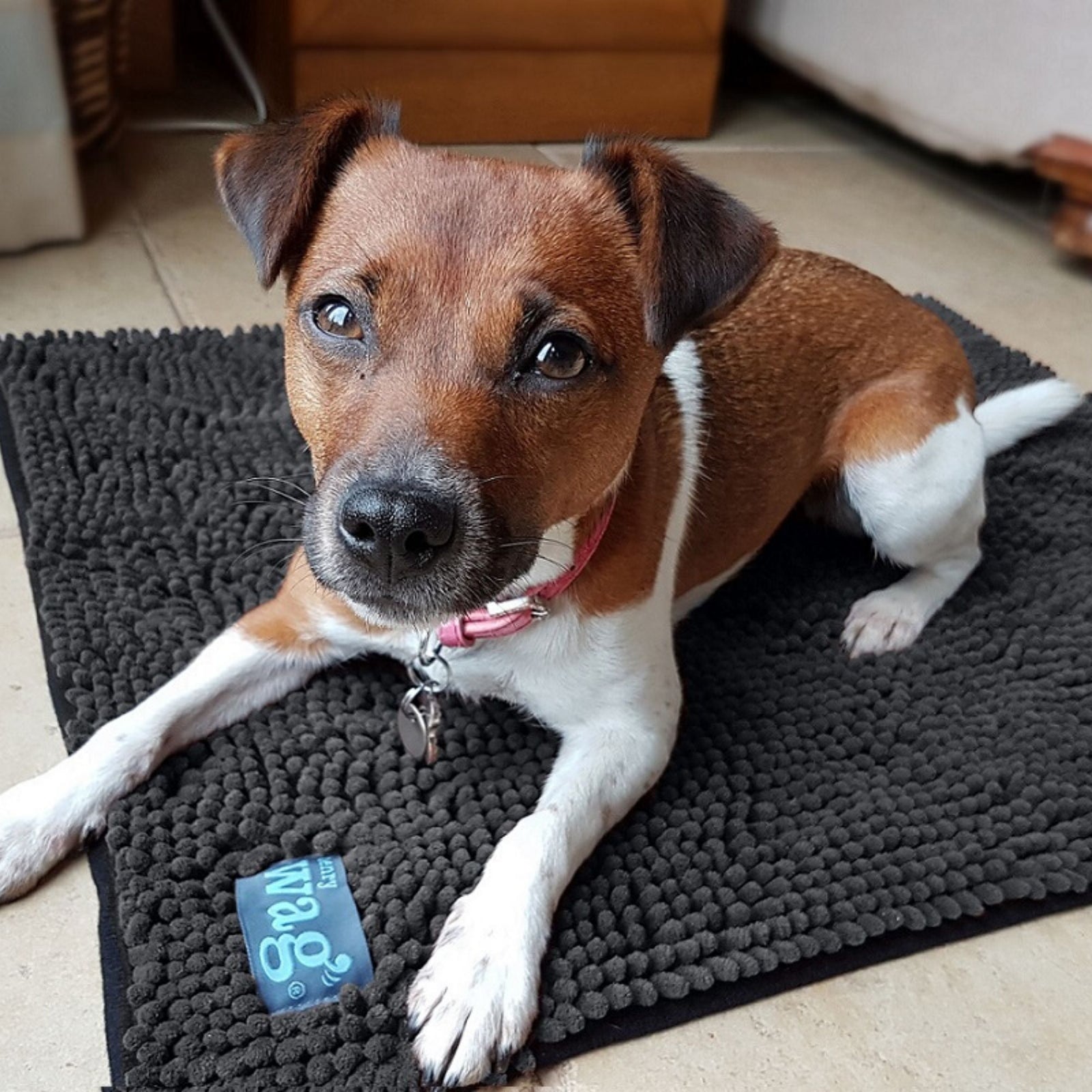 Henry Wag Microfibre Noodle Pet Mat for Dogs & Pets | Barks & Bunnies