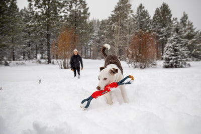 Ruffwear Pacific Loop Tug Toy & Floating Dog Toy | Barks & Bunnies