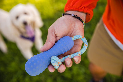 Ruffwear Gourdo, Fetch Dog Toy | Barks & Bunnies