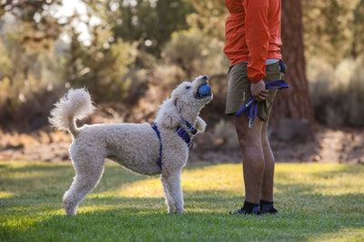 Ruffwear Turnup Tough Dog Toy | Barks & Bunnies