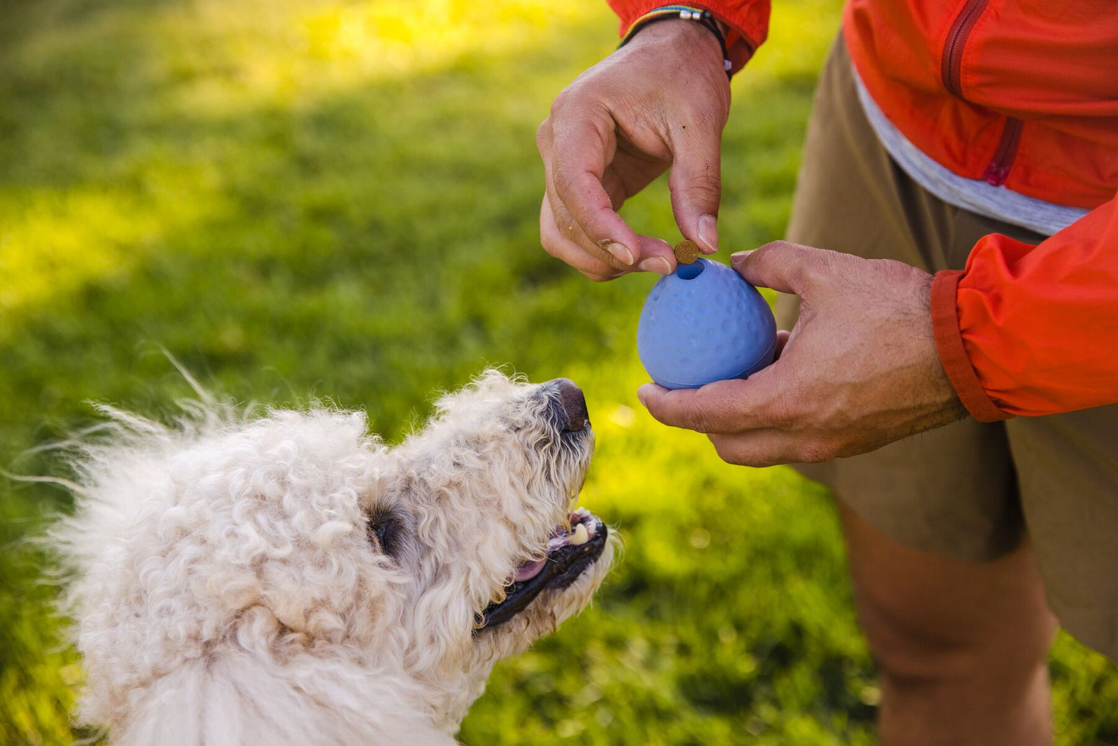 Ruffwear Turnup Tough Dog Toy | Barks & Bunnies