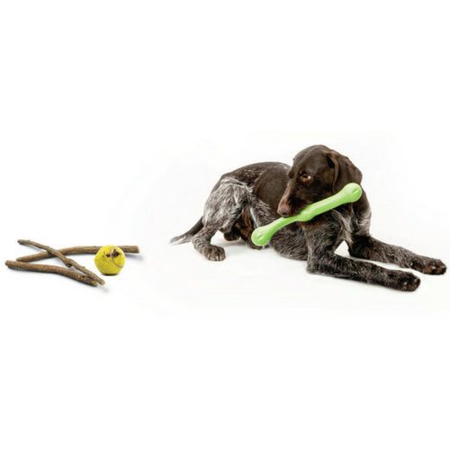 Zogoflex Echo Zwig by West Paw Design, Tough Dog Toy | Barks & Bunnie