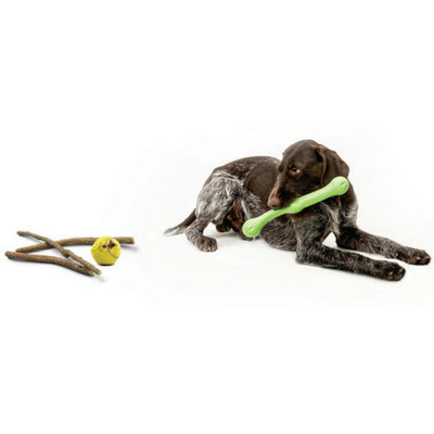Zogoflex Echo Zwig by West Paw Design, Tough Dog Toy | Barks & Bunnie