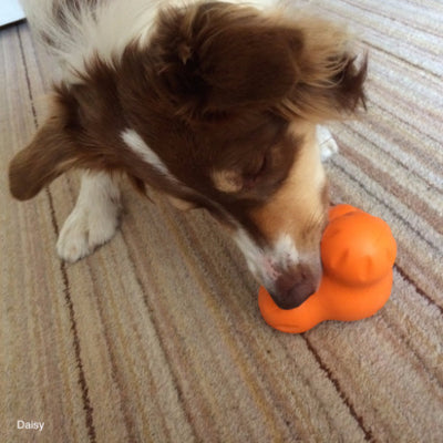 Zogoflex Tux by West Paw Design Indestructible Dog Toy | Barks & Bunnnies