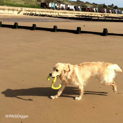 Zogoflex Bumi, Guaranteed Indestructible Dog Toys UK | Barks & Bunnies