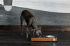 Bowl & Bone Republic DUO Amber, Handmade Dog Bowl | Barks & Bunnies
