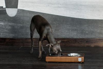 Bowl & Bone Republic DUO Chestnut, Handmade Dog Bowl | Barks & Bunnies