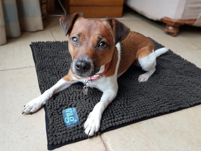 Henry Wag Microfibre Noodle Pet Mat for Dogs & Pets | Barks & Bunnies