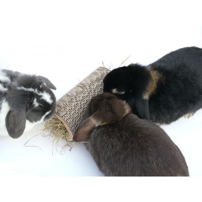 Rosewood Boredom Breaker Shred-a-log | Barks & Bunnies