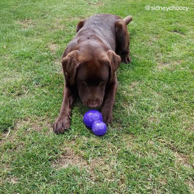 Planet Dog Orbee Tuff Diamond Plate Double Tuff, Extra Tough Dog Toy | Barks & Bunnies