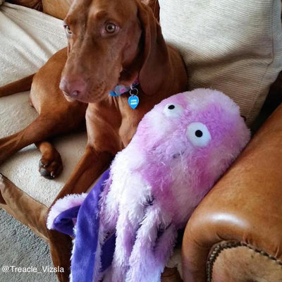 Gor Pets Octopus Dog & Puppy Toy, Super Soft, Plush | Barks & Bunnies