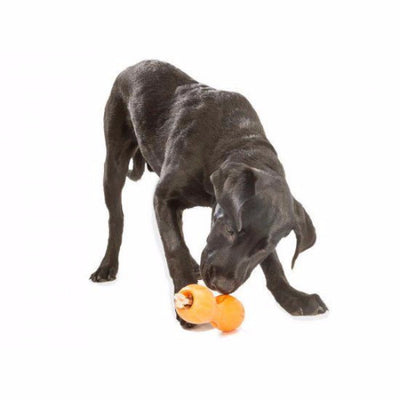 Zogoflex Qwizl, Interactive Extra tough Dog Toy UK | Barks & Bunnies