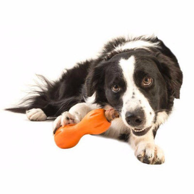 Zogoflex Qwizl, Interactive Extra tough Dog Toy UK | Barks & Bunnies