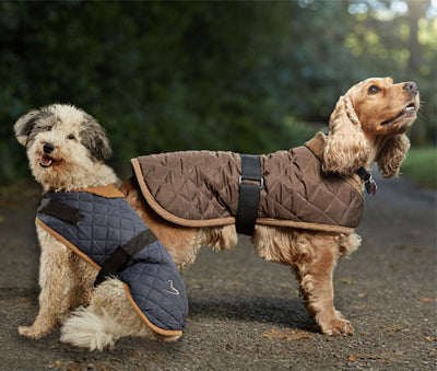 Gor Pets Worcester Dog Coat, Quilted Winter Dog Coat | Barks & Bunnies