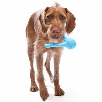 Zogoflex Tizzi, Zogoflex Dog Toys UK Stockist | Barks & Bunnies