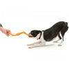 Zogoflex Bumi, Guaranteed Indestructible Dog Toys UK | Barks & Bunnies