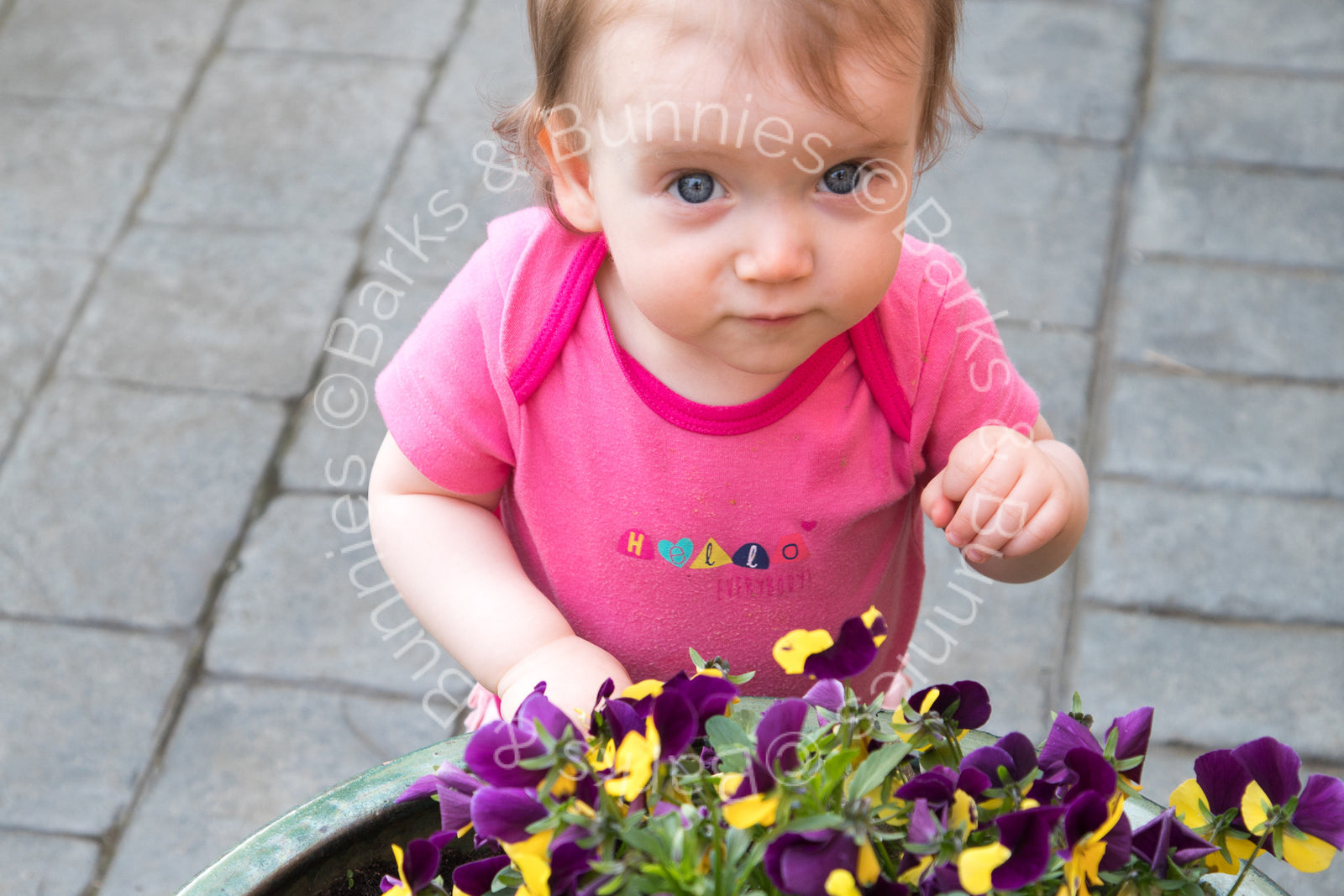 Erica's First Birthday