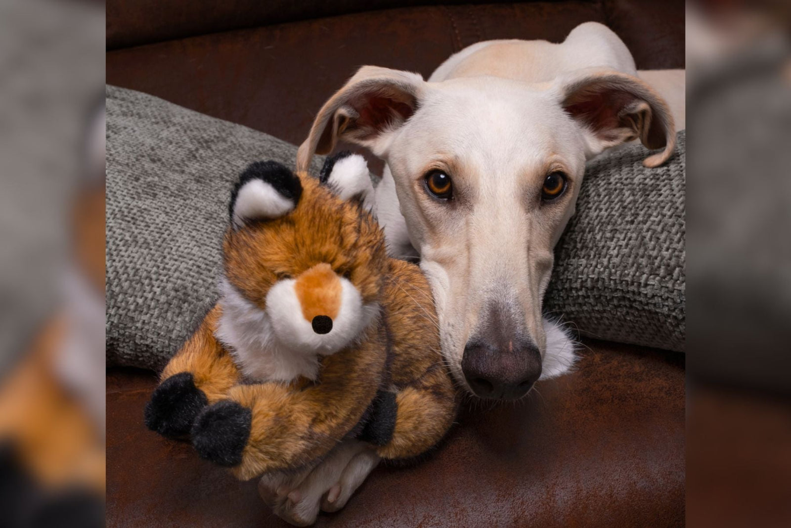 Squeakerless Dog Toys: Discover Fluff & Tuff’s Quieter Side