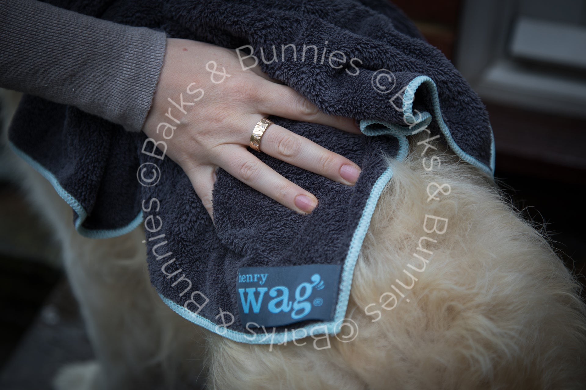 Henry Wag Microfibre Towel Review