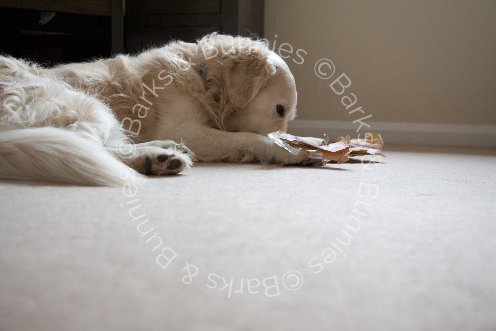 Green & Wilds Ox Liver Chews - Albie Approved!