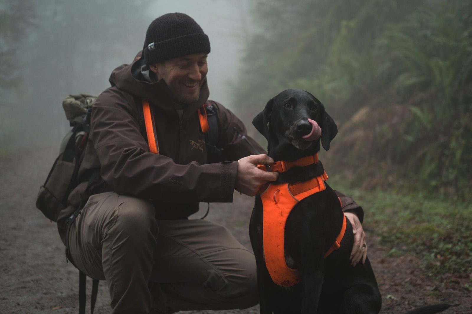 Walking Your Dog in the Dark: From Daylight to Dusk.